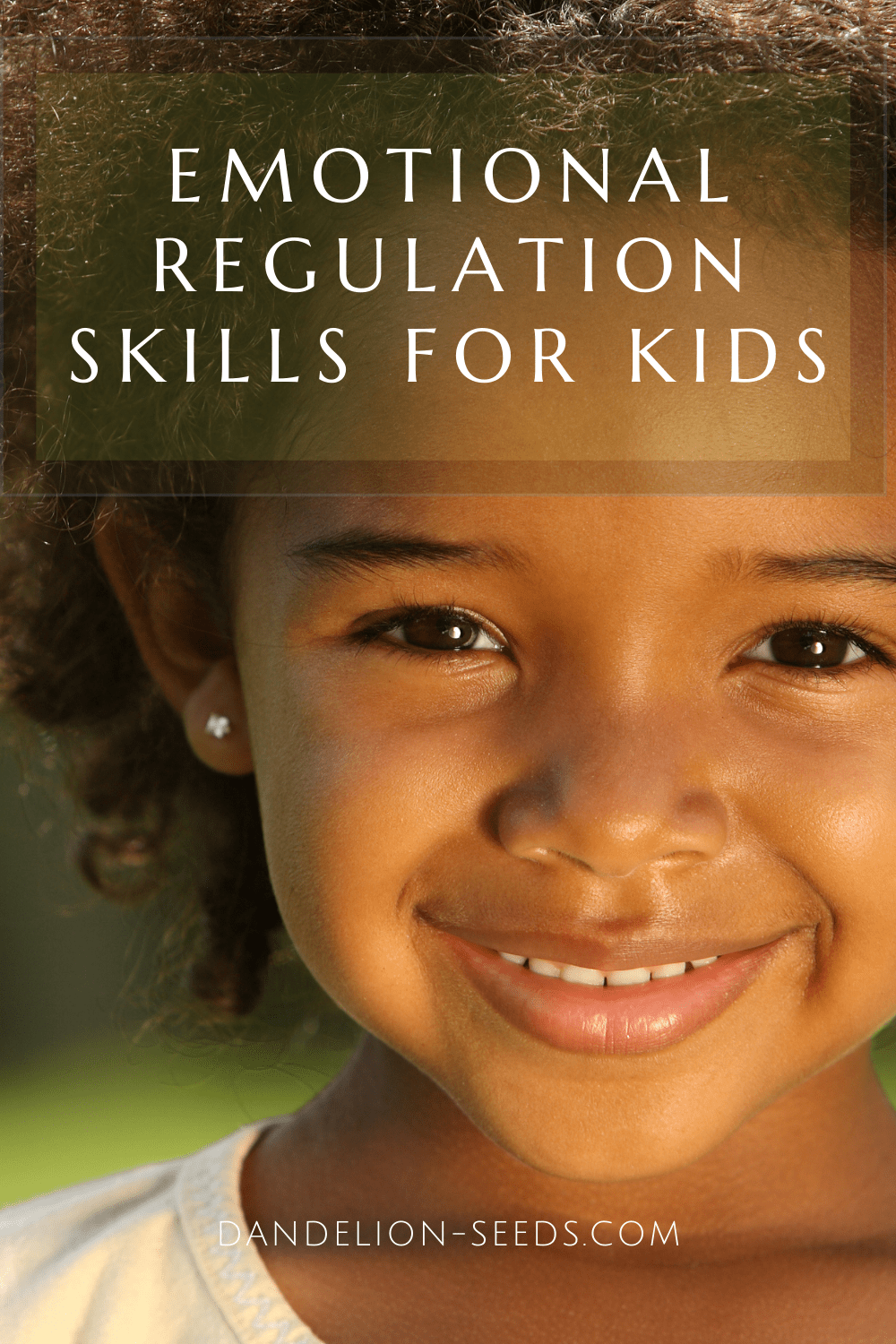 emotional regulation skills